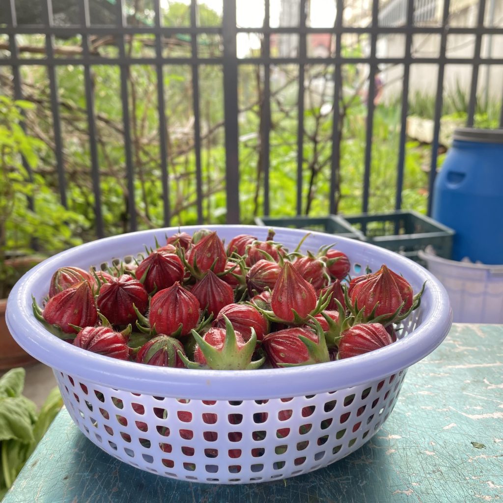 Nhà vườn Bình Dương