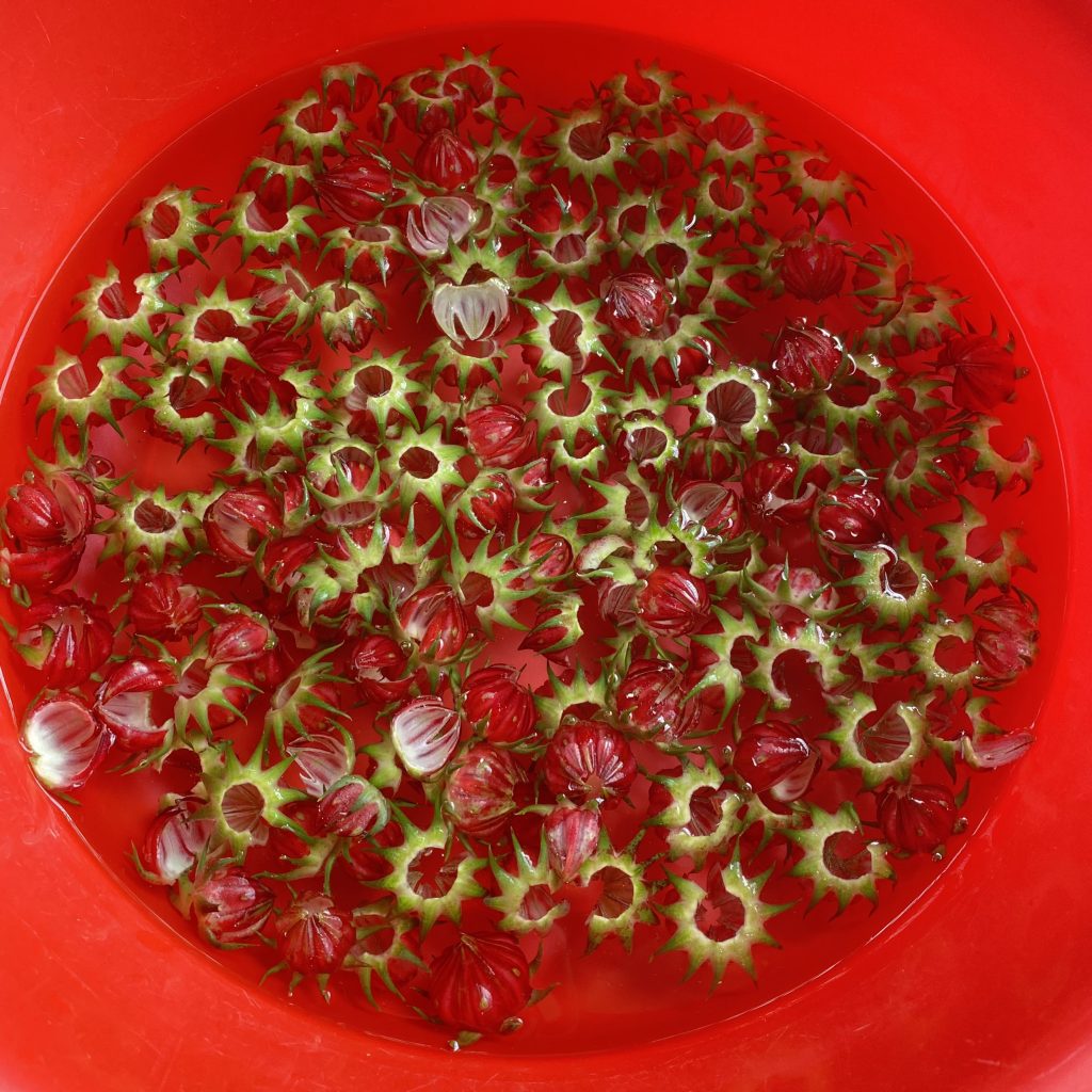 Nhà vườn Bình Dương