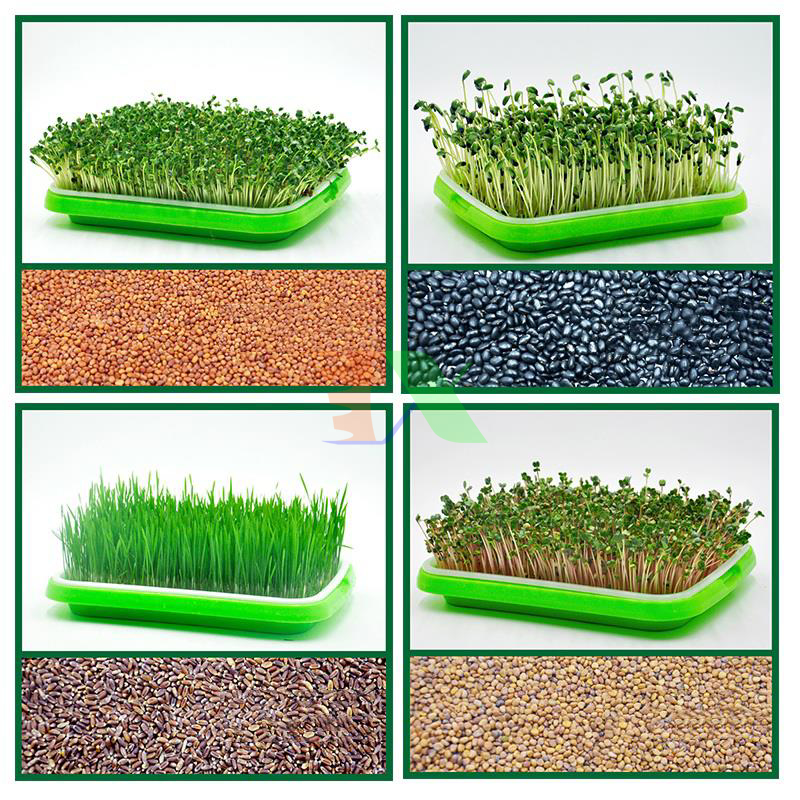 Nhà vườn Bình Dương