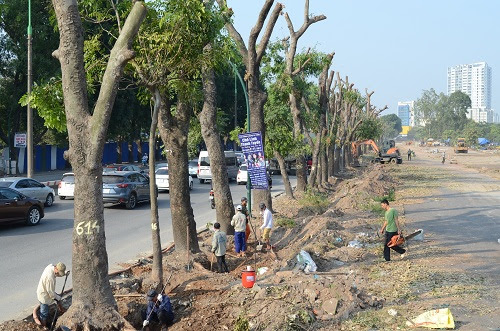 Nhà vườn Bình Dương